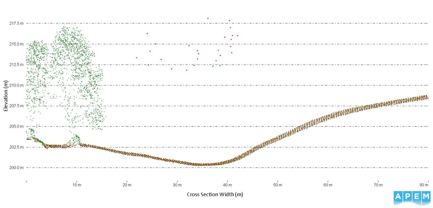 Graph illustrating bird flight heights