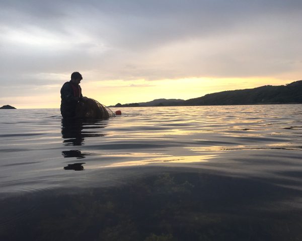 APEM staff member collecting nets
