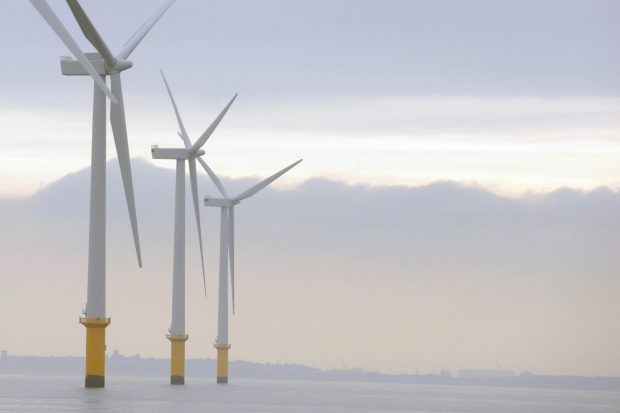 APEM leading the way in offshore ornithology impact assessments Thumbnail