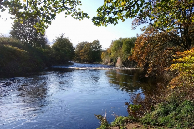 Testing the water – without getting wet: eDNA as a technique for INNS detection Thumbnail