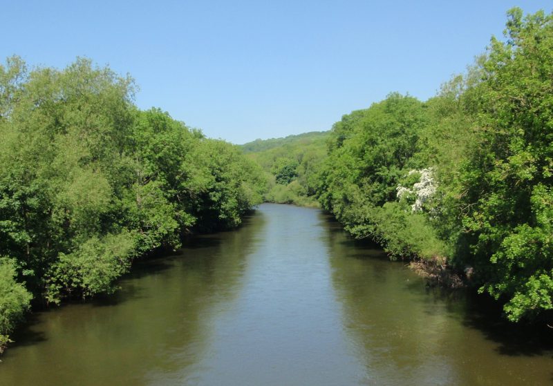 River Severn with trees