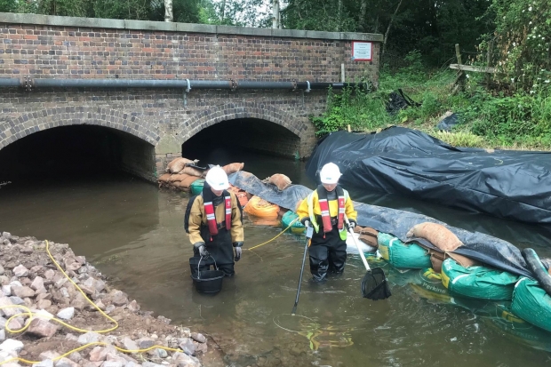 An unexpected discovery shows the importance of Environmental Plans in fish rescue and relocation Thumbnail