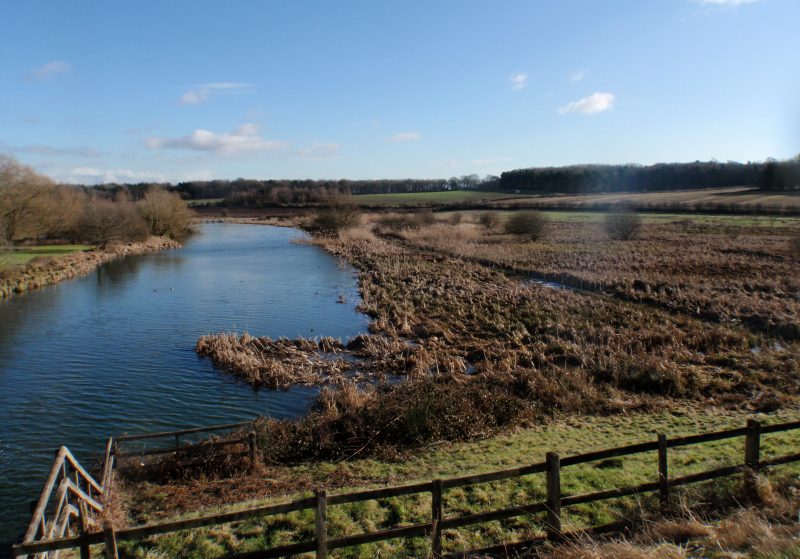 River with high flow and flooded bank