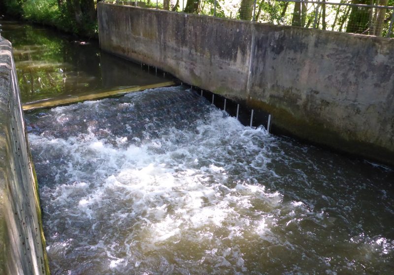 Weir on a sunny day