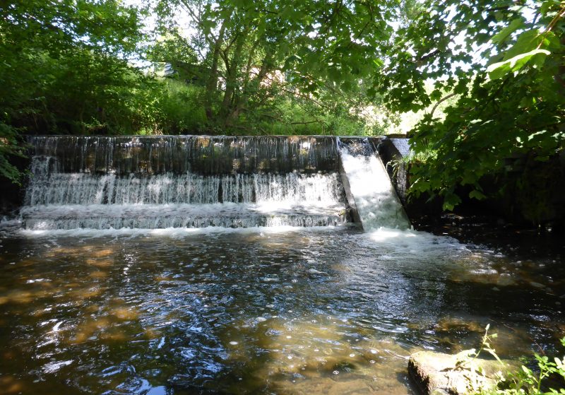 Weir with fish pass