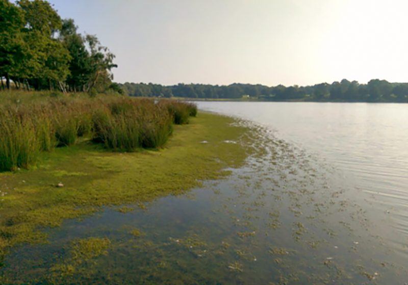 Bank of a body of water