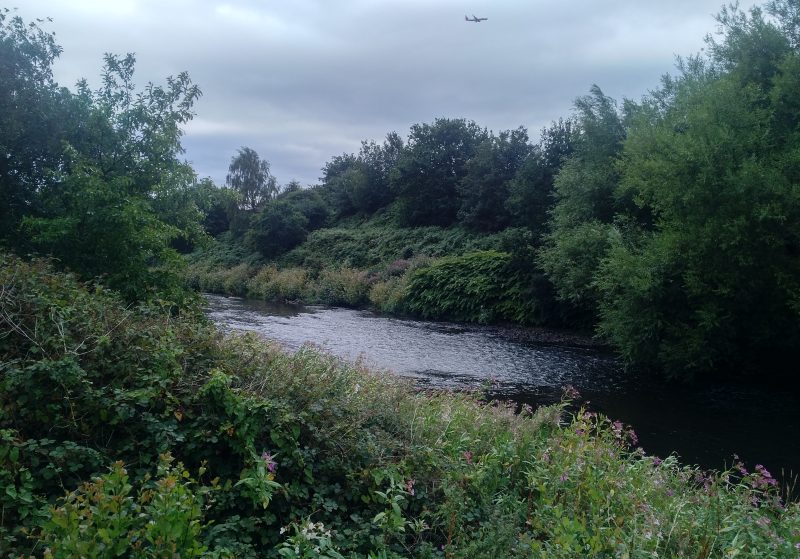 River section classed as riffle