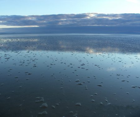 Marine field surveys Thumbnail