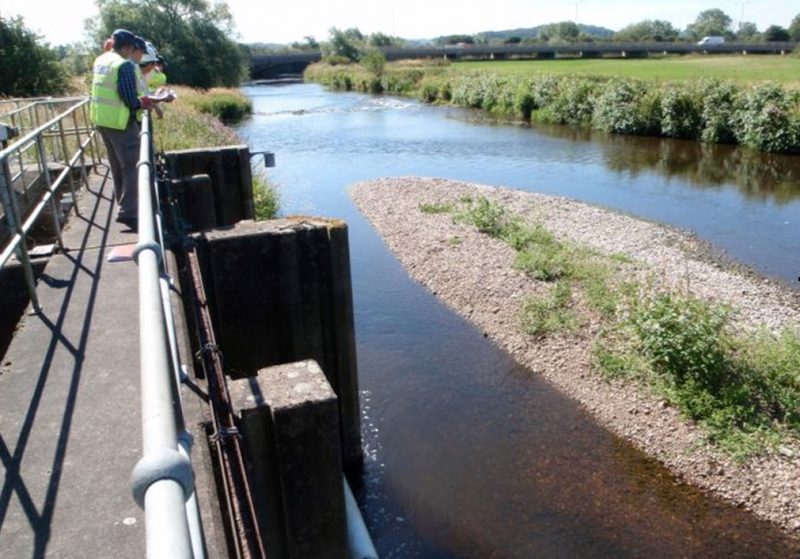 APEM staff viewing a river