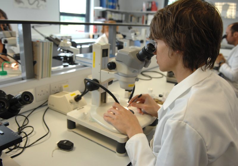 Scientist working with microscope