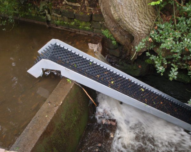 image of a fish passage