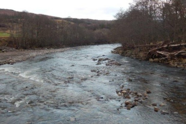 Salmon return as ‘dry’ river flows again Thumbnail