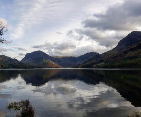 Islands in the stream: invasives in lakes and ponds