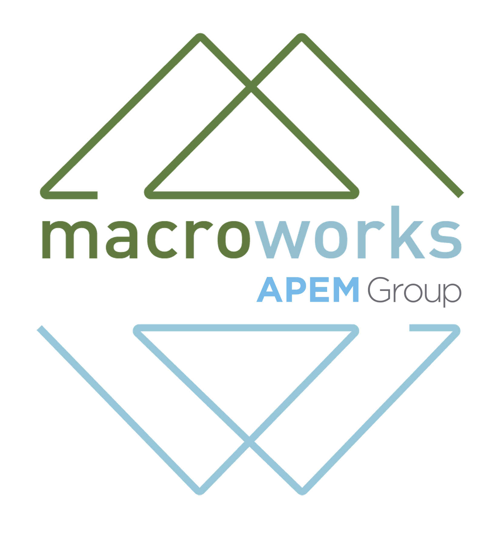 APEM Group - Macro work logo